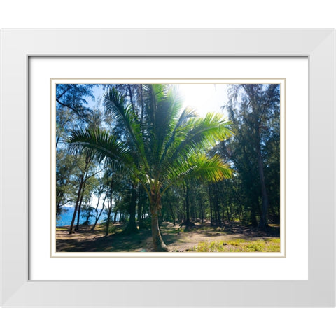 Palm 1 White Modern Wood Framed Art Print with Double Matting by Nebula, Melissa