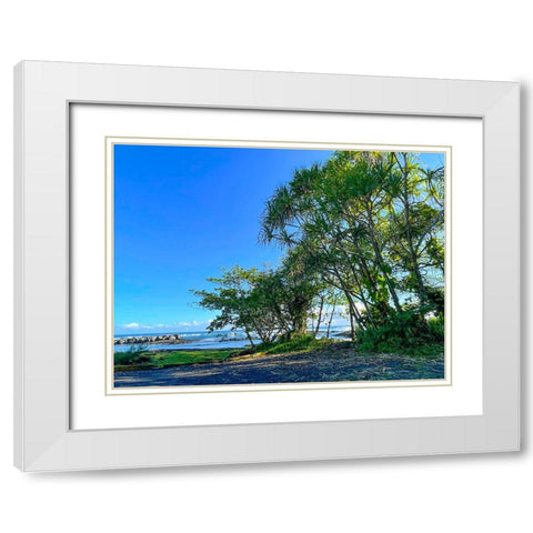 Hilo Shade White Modern Wood Framed Art Print with Double Matting by Nebula, Melissa