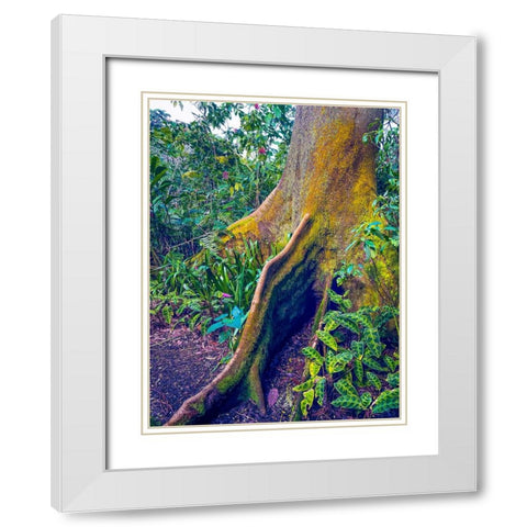 Walking Tree White Modern Wood Framed Art Print with Double Matting by Nebula, Melissa
