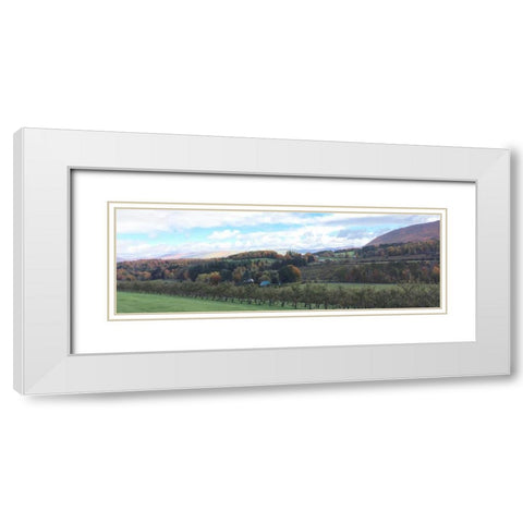 Seasons Change 2 White Modern Wood Framed Art Print with Double Matting by Prime, Marcus