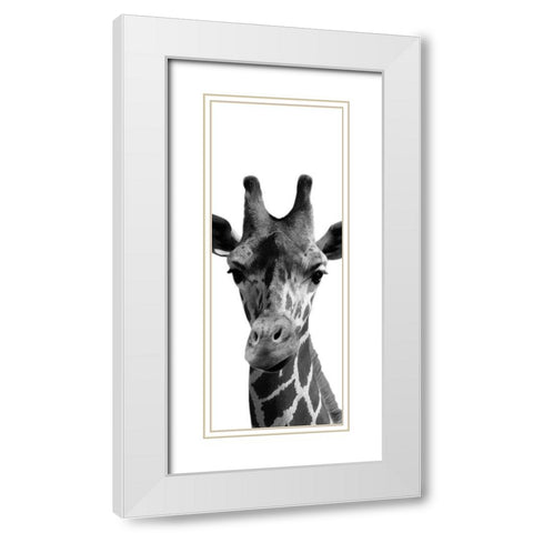 Thoughtful Giraffe White Modern Wood Framed Art Print with Double Matting by Prime, Marcus