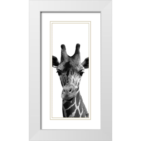 Thoughtful Giraffe White Modern Wood Framed Art Print with Double Matting by Prime, Marcus