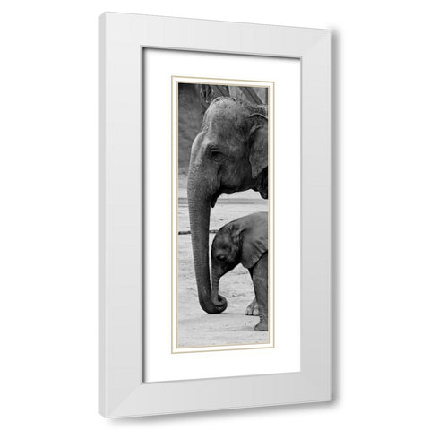 Mothers Love White Modern Wood Framed Art Print with Double Matting by Prime, Marcus
