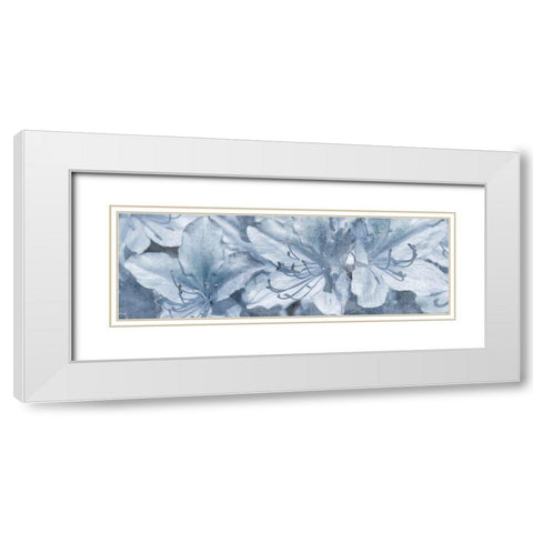 Simple Desires 2 White Modern Wood Framed Art Print with Double Matting by Prime, Marcus