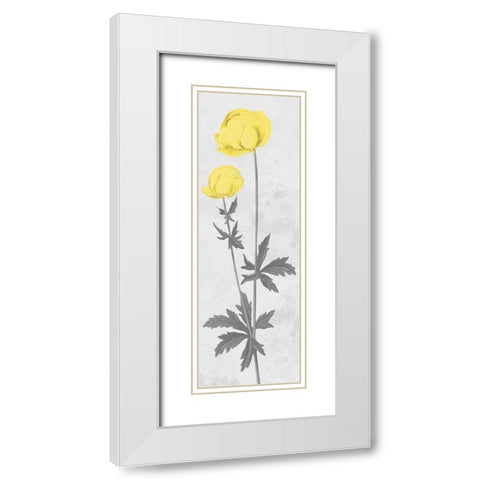 Shinning Bloom White Modern Wood Framed Art Print with Double Matting by Prime, Marcus