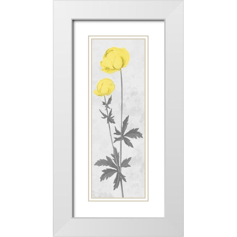 Shinning Bloom White Modern Wood Framed Art Print with Double Matting by Prime, Marcus