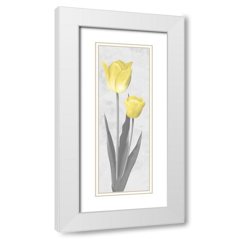 Shinning Bloom 2 White Modern Wood Framed Art Print with Double Matting by Prime, Marcus