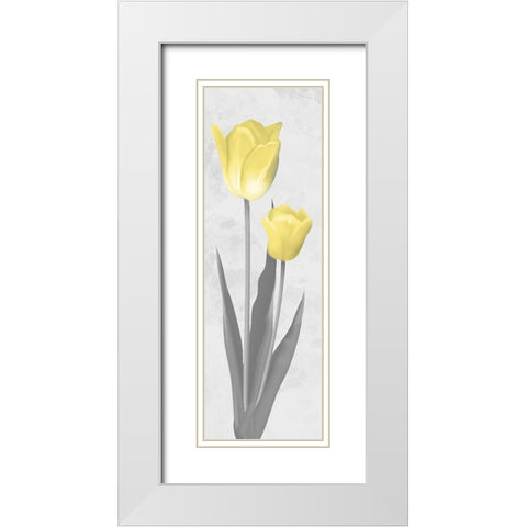 Shinning Bloom 2 White Modern Wood Framed Art Print with Double Matting by Prime, Marcus