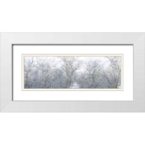 Mysterious Forest White Modern Wood Framed Art Print with Double Matting by Prime, Marcus