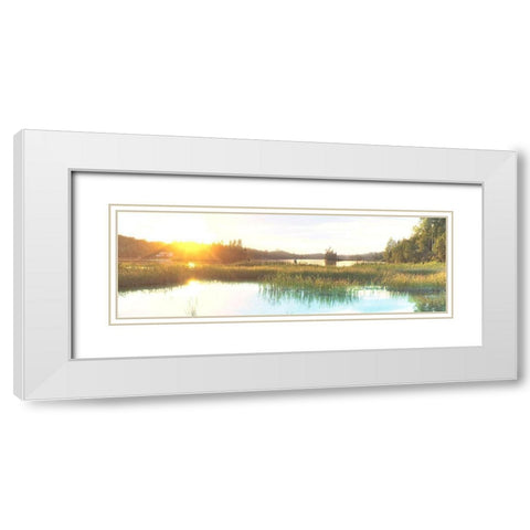 Sunny Marsh 2 White Modern Wood Framed Art Print with Double Matting by Prime, Marcus