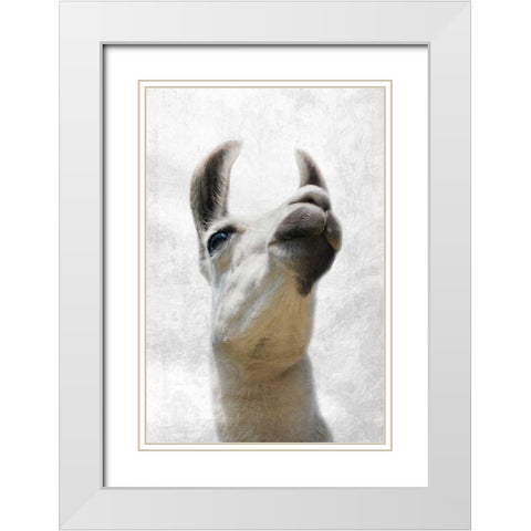 Pondering Lama White Modern Wood Framed Art Print with Double Matting by Prime, Marcus