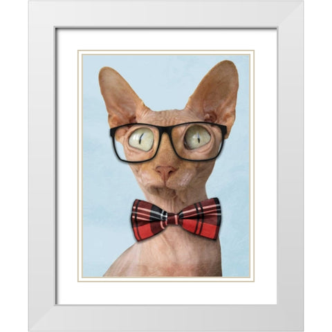 Sophisticated Sphynx White Modern Wood Framed Art Print with Double Matting by Prime, Marcus