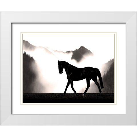Wandering Horse White Modern Wood Framed Art Print with Double Matting by Prime, Marcus