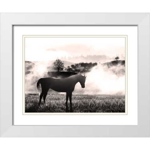 Wandering Horse 2 White Modern Wood Framed Art Print with Double Matting by Prime, Marcus