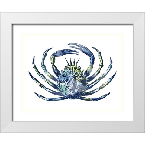 Sea Friends 2 White Modern Wood Framed Art Print with Double Matting by Prime, Marcus
