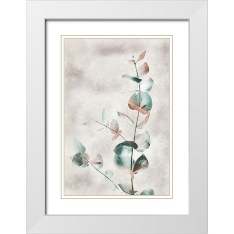 Blooming Botanical White Modern Wood Framed Art Print with Double Matting by Prime, Marcus