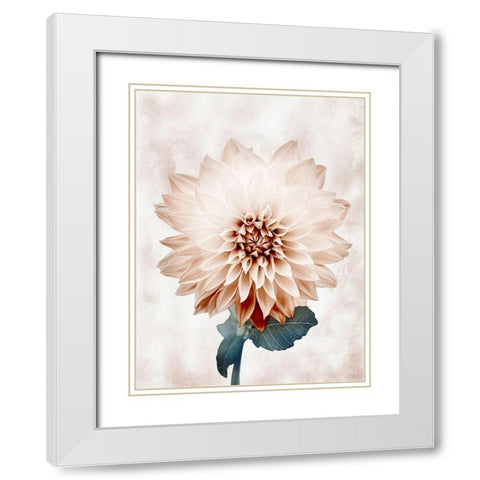 Desired Growth White Modern Wood Framed Art Print with Double Matting by Prime, Marcus