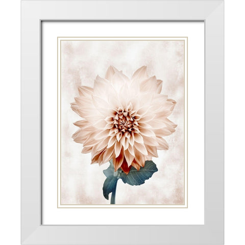 Desired Growth White Modern Wood Framed Art Print with Double Matting by Prime, Marcus