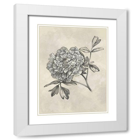 Muted Floral Sketches 1 White Modern Wood Framed Art Print with Double Matting by Prime, Marcus