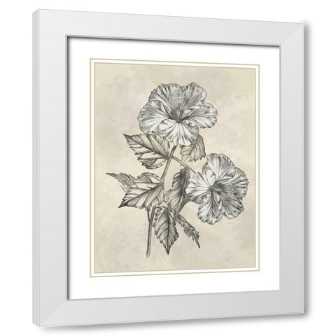 Muted Floral Sketches 2 White Modern Wood Framed Art Print with Double Matting by Prime, Marcus