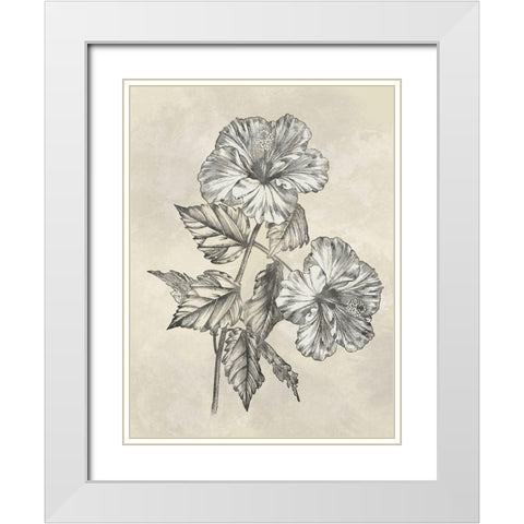 Muted Floral Sketches 2 White Modern Wood Framed Art Print with Double Matting by Prime, Marcus