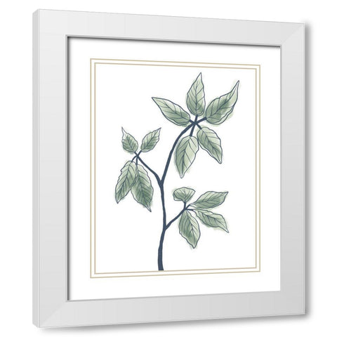 Illustrated Botanicals White Modern Wood Framed Art Print with Double Matting by Prime, Marcus