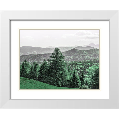 Mountain Beauty White Modern Wood Framed Art Print with Double Matting by Prime, Marcus