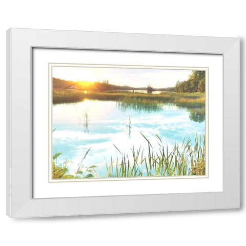 Sunny Marsh White Modern Wood Framed Art Print with Double Matting by Prime, Marcus