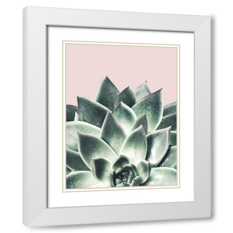 Succulent Queen White Modern Wood Framed Art Print with Double Matting by Prime, Marcus