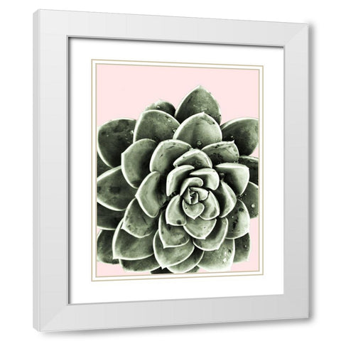 Succulent Beauty White Modern Wood Framed Art Print with Double Matting by Prime, Marcus