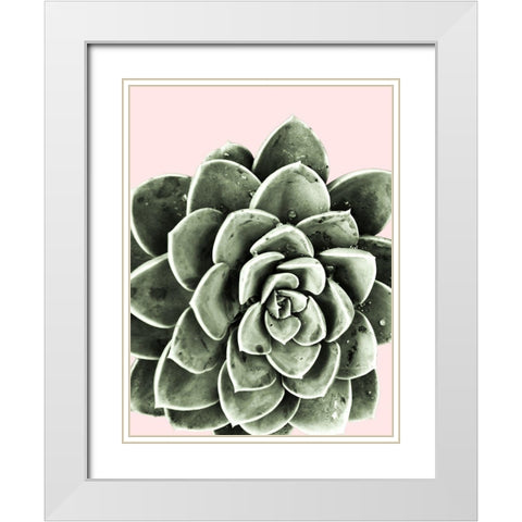 Succulent Beauty White Modern Wood Framed Art Print with Double Matting by Prime, Marcus