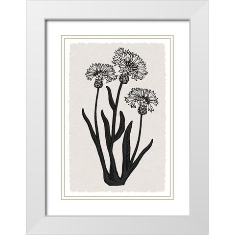 Rural Florals 2 White Modern Wood Framed Art Print with Double Matting by Prime, Marcus