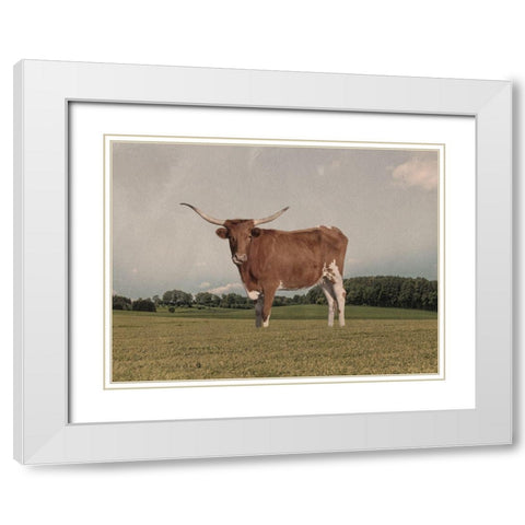 Desolate Steer White Modern Wood Framed Art Print with Double Matting by Prime, Marcus