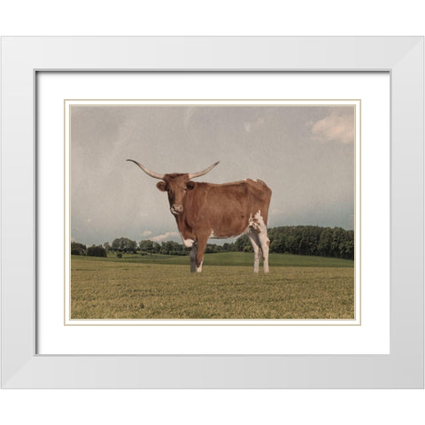 Desolate Steer White Modern Wood Framed Art Print with Double Matting by Prime, Marcus