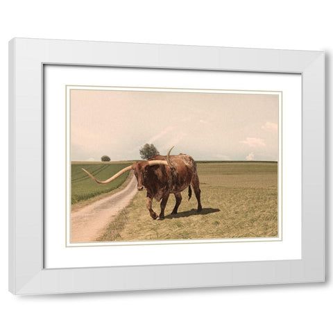 Desolate Steer 2 White Modern Wood Framed Art Print with Double Matting by Prime, Marcus