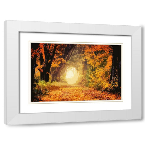 Peeking Light White Modern Wood Framed Art Print with Double Matting by Prime, Marcus