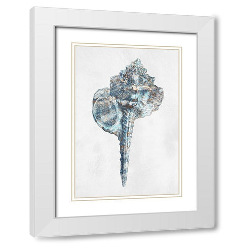 Urban Sea Shell 1 White Modern Wood Framed Art Print with Double Matting by Prime, Marcus
