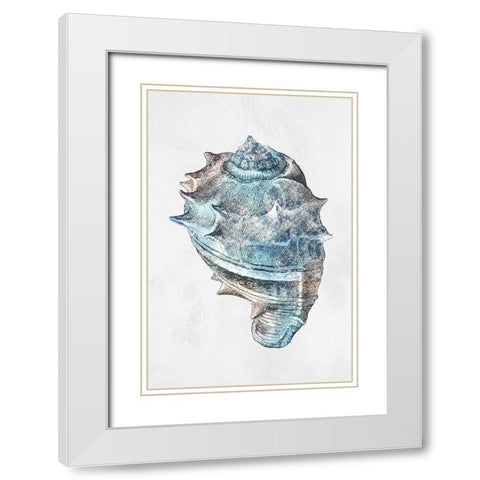 Urban Sea Shell 2 White Modern Wood Framed Art Print with Double Matting by Prime, Marcus