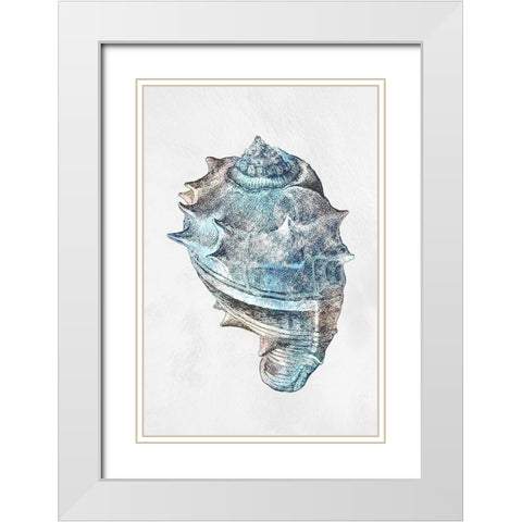 Urban Sea Shell 2 White Modern Wood Framed Art Print with Double Matting by Prime, Marcus