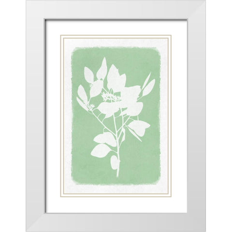 Soft Botanical Feelings 1 White Modern Wood Framed Art Print with Double Matting by Prime, Marcus