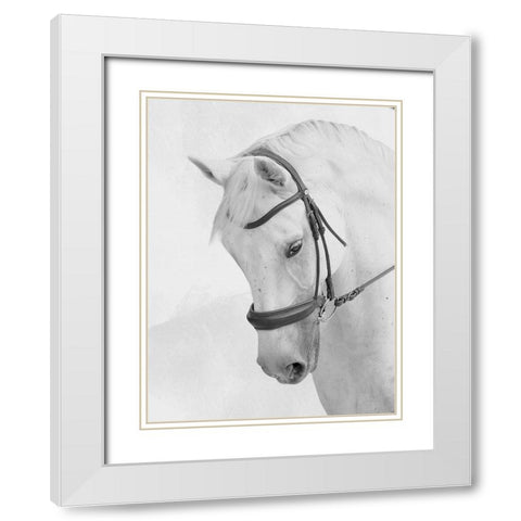 Praying Steed White Modern Wood Framed Art Print with Double Matting by Prime, Marcus