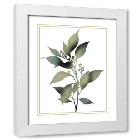 Morphism Of Dreams 1 White Modern Wood Framed Art Print with Double Matting by Prime, Marcus