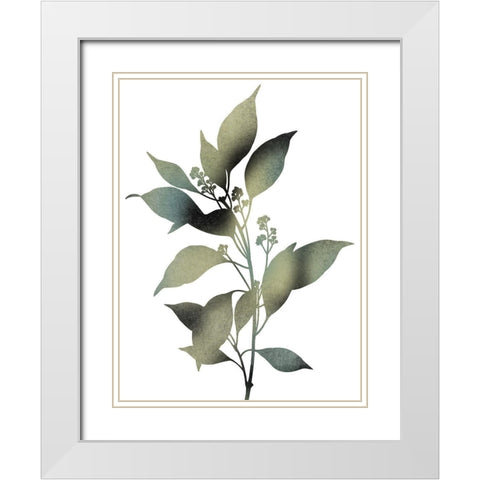 Morphism Of Dreams 1 White Modern Wood Framed Art Print with Double Matting by Prime, Marcus