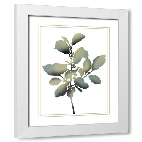 Morphism Of Dreams 2 White Modern Wood Framed Art Print with Double Matting by Prime, Marcus