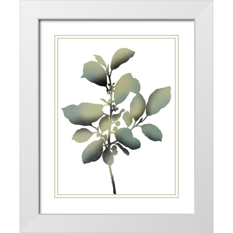 Morphism Of Dreams 2 White Modern Wood Framed Art Print with Double Matting by Prime, Marcus