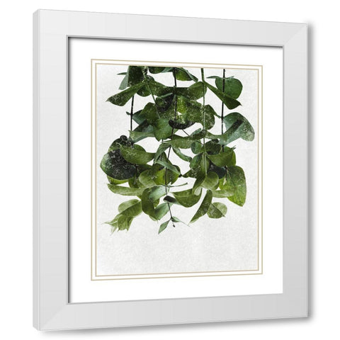 Hanging Eucalyptus White Modern Wood Framed Art Print with Double Matting by Prime, Marcus