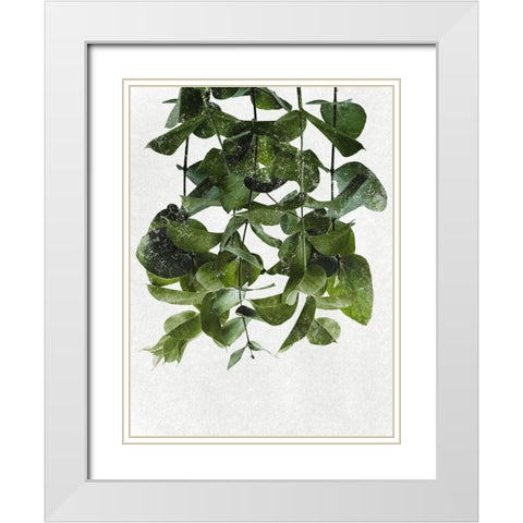 Hanging Eucalyptus White Modern Wood Framed Art Print with Double Matting by Prime, Marcus
