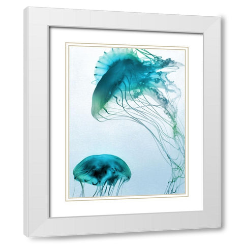Jelly Fish Friends White Modern Wood Framed Art Print with Double Matting by Prime, Marcus