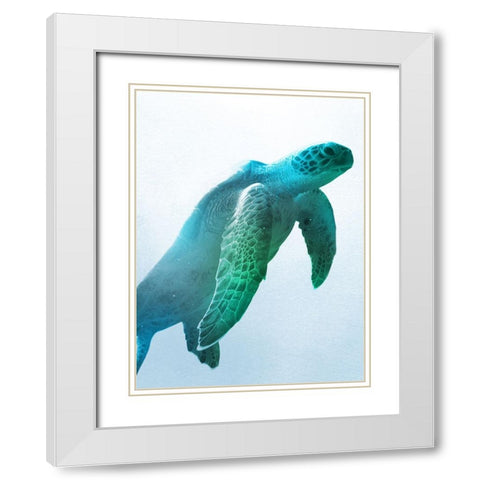 Floating Turtle White Modern Wood Framed Art Print with Double Matting by Prime, Marcus