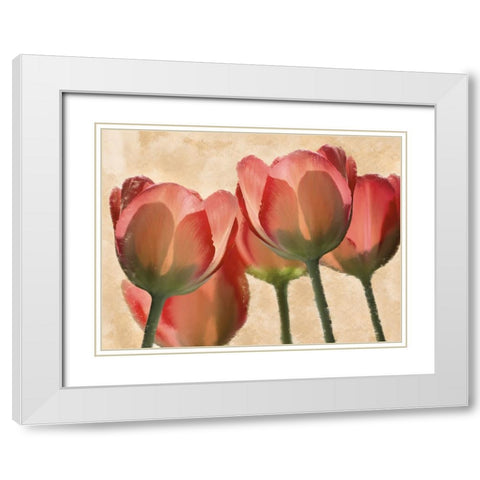 Battles Of Romance White Modern Wood Framed Art Print with Double Matting by Prime, Marcus